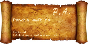 Pandia Amáta névjegykártya